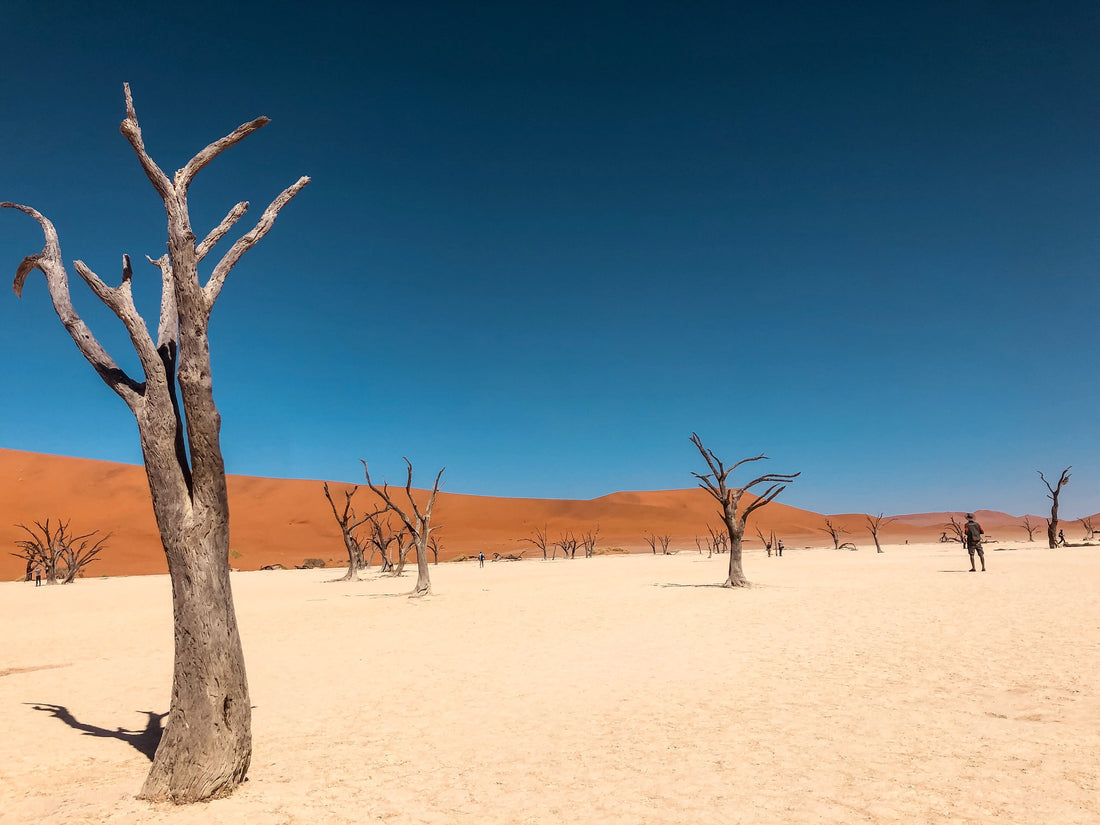 Welo vs. australischer Opal – wo liegen die Unterschiede?